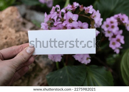 card mockup with leaves and flowers
