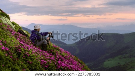 Photographer in the spring forest during sunset. Taking photo of rhododendron flowers covered mountains meadow. Purple sunrise light glowing on a foreground. Landscape photography