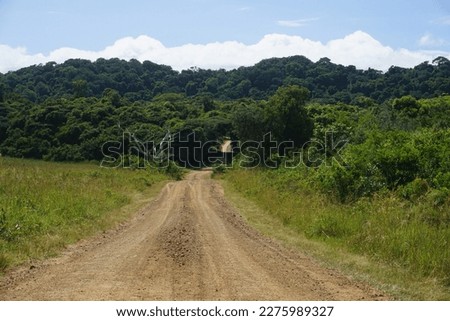Deserted road in South Africa Royalty-Free Stock Photo #2275989327