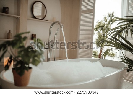 Soft native hues organic shapes look of bathroom with big window oval bathtub in neutrals tones. Green palm plants candles bubblebath leasure and relaxation skin selfcare wellness luxury living Royalty-Free Stock Photo #2275989349