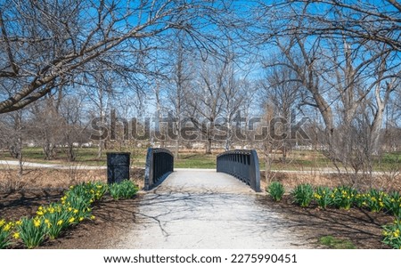Pedestrian bridge lined with bright yellow daffodils along the path. Gravel pathway leading the bridge and trees with bare branches all around it. A bright blue sky in the spring. Royalty-Free Stock Photo #2275990451