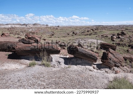 Petrified wood of various lengths, colors, shapes and sizes laying around inside Petrified Forest National Park against blue cloud sky.  Alsostructure built by ancient civilization from petrified wood Royalty-Free Stock Photo #2275990937
