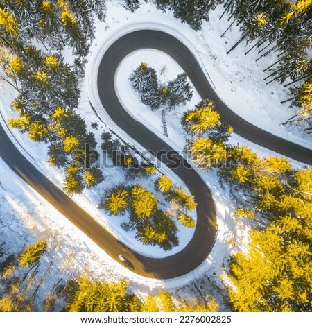 Asphalt road serpentine in snowy wintertime. Cold winter and sunny day above forest road with illuminated trees by rising sun. Aerial view from drone.