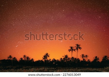 Goa, India. Amazing Night Bright Orange Sky Glowing Stars Background Backdrop With Sky Gradient. Coconut Trees Palms Landscape. Colorful Night Starry Sky Gradient. Bright Yellow And Orange Colors.