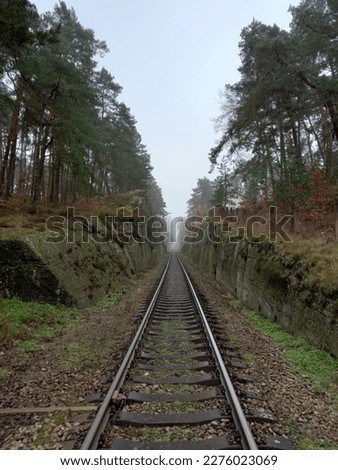Railway cut in sandstone, disappearing into fog.