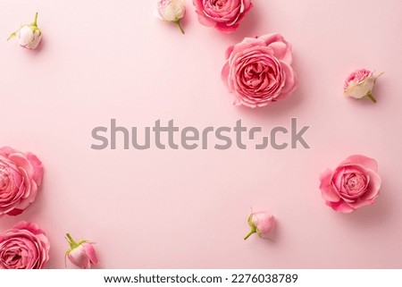 Mother's Day concept. Top view photo of fresh flowers pink peony roses on isolated pastel pink background with blank space Royalty-Free Stock Photo #2276038789