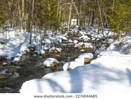 fresh snow covers trap falls brook in willard brook state forest in ashby massachusetts Royalty-Free Stock Photo #2276044685