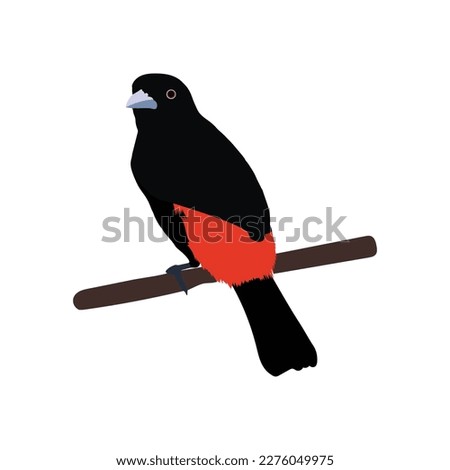 A beautiful black bird vector artwork