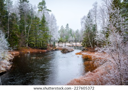 picture of a river with frosty trees around