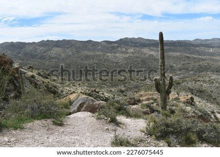 Spring in the Superstition Mountains, Hiking up Picketpost Mountain 