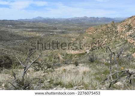 Spring in the Superstition Mountains, Hiking Picketpost Mountain 