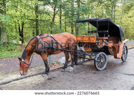 picture of a vintage horse-drawn carriage standing on the side of a road Royalty-Free Stock Photo #2276076665