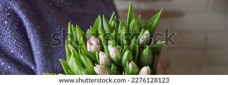 Woman holding bouquet of pink tulips against beige background, big and beautiful bunch of fresh red tulips, cropped photo, bouquet close up.Floral spring background.
