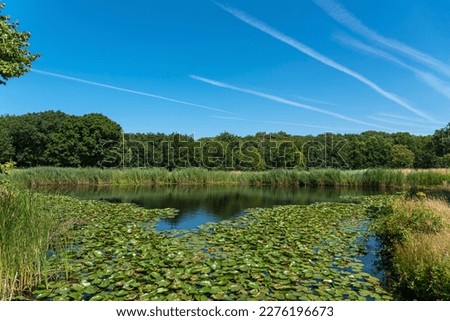 Landscape in the De Manteling nature reserve at Westhove Castle near Oostkapelle. Oostkapelle is a town in the province of Zeeland in the Netherlands Royalty-Free Stock Photo #2276196673