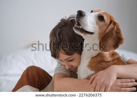 Happy boy embracing rescued beagle on bed, both smiling. adopt a loving pet and create lifelong memories together. Royalty-Free Stock Photo #2276206375