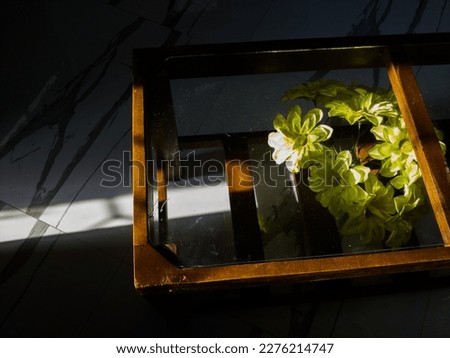 a scene of The morning sunlight comes in through the window of the house and falls on the flower vase