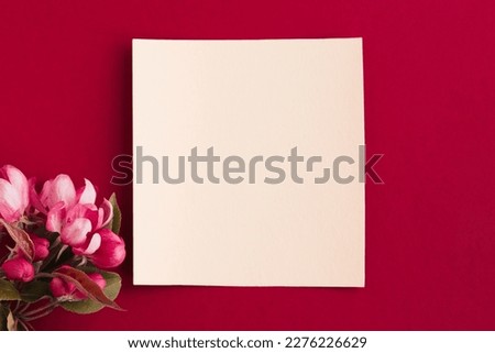 Happy mother's day, women's day or birthday pastel colors background. Floral flat lay minimalism greeting card. Mockup. Beautiful natural flowers on a plain background.
