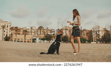 Lunch time. cute girl is sitting on the sand on the beach with her pet testing sandwich. The girl treats her dog with sandwich. Lunch on the beach on modern city background