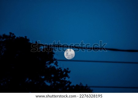 Full moon between cables and trees