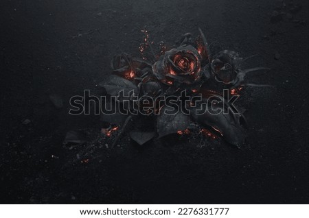 This picture of a black rose illustration
