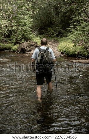 Man Fords Calf Deep Creek along Caldwell Fork Trail in Great Smoky Mountains National Park Royalty-Free Stock Photo #2276334565