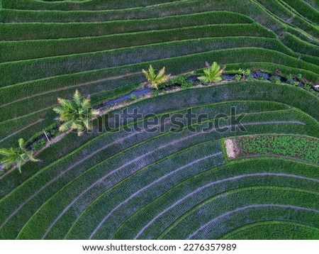 aerial view beautiful morning view from Indonesia about mountain and forest