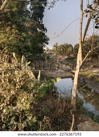This is Bangladeshi canal picture.it is very ancient canal. It location padua to bandarbn.