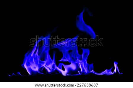 Fire and flames blue on a black background
