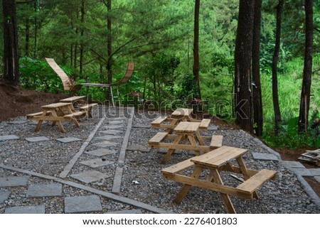 Photo of a tourist destination with a forest theme