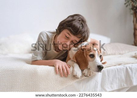boy hugging his beagle on the cozy bed. importance of nurturing a loving relationship between children and pets, as well as teaching responsibility and kindness. Royalty-Free Stock Photo #2276435543