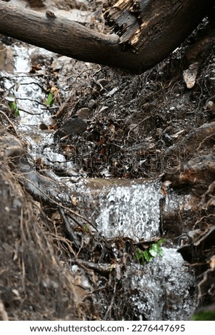 water flowing in a mountain stream