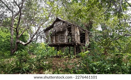 A hut in the forest