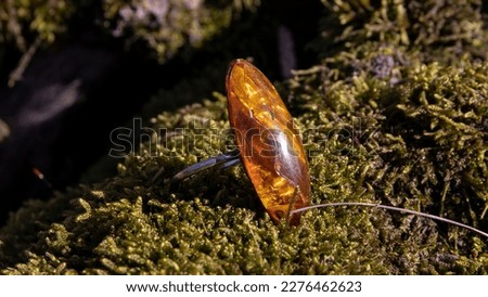 Baltic amber ring on a green moss close up. Old amber jewelry. Royalty-Free Stock Photo #2276462623