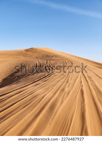 desert in arab emirates 2023