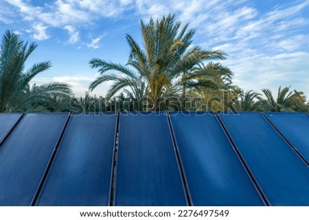 Solar panels providing clean energy with palm trees on the background.