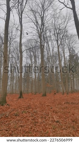 photo shoots of nature in Northern Germany 