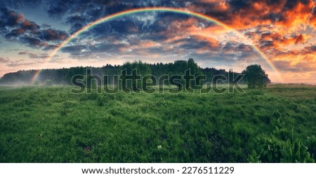 Rainbow over the meadow. picturesque spring morning. nature of Ukraine