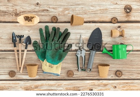 Dirty gardening gloves with shovels,rake,green watering can and cardboard cups for planting seeds lie on a natural wooden table,flat lay close-up.Gardening concept.