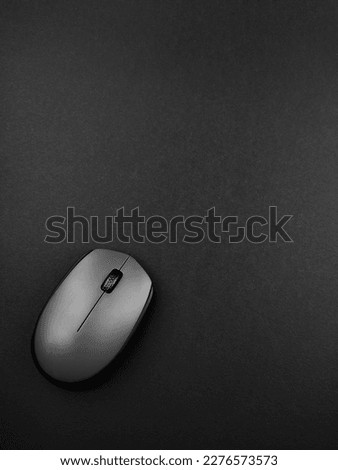 A picture of computer mouse