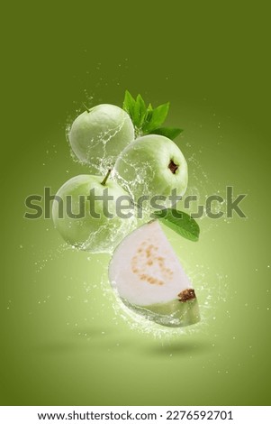 Water splashing on Guava fruit isolated on a green background	