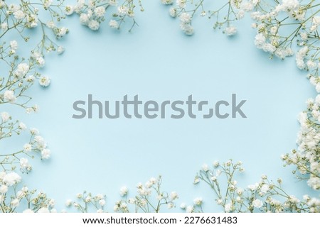 White gypsophila flowers or baby's breath flowers  on blue  background.  Copy space. Royalty-Free Stock Photo #2276631483