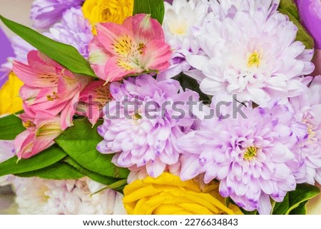 Beautiful spring bouquet close-up. Flowers close-up.