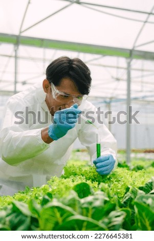 Biologists examining the water quality and checking bacteria in A and B fertilizer water in greenhouse hydroponic vegetable garden, greenoak, redoak, Green Cos Lettuce.
