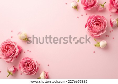 8-march concept. Top view photo of pink peony roses and sprinkles on isolated pastel pink background with blank space