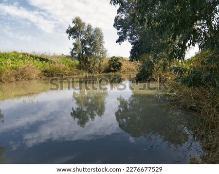 a beautiful spring day at the naaman stream in northern israel