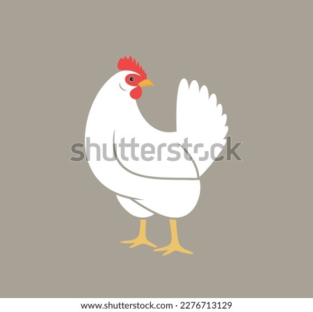 Hen. Nest. Isolated  hen on white background