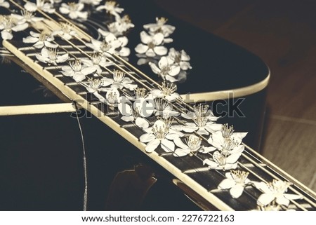 Guitar with flowers on strings. Beautiful white flowers on the guitar. Music instrument