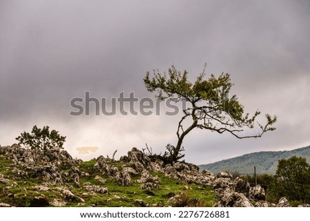 cloudy landscape along the path to The sanctuary of the Sacro Monte of Viggiano, Val D'Agri, Basilicata
