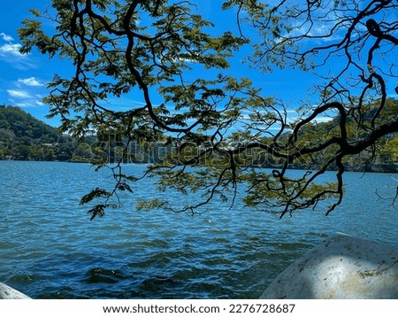 This is a kandy lake. It called as “Bogambara lake” It’s located on Kandy district in Sri Lanka. It’s near Temple of the tooth. The tree branch is bent over the lake.