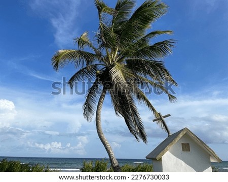 Horizontal shot of tiny house with palm and cross